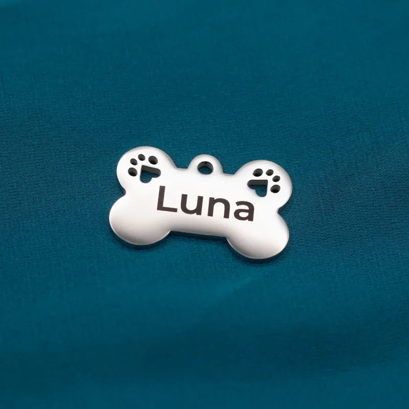 Medaglietta piccola per cane in acciaio inox
